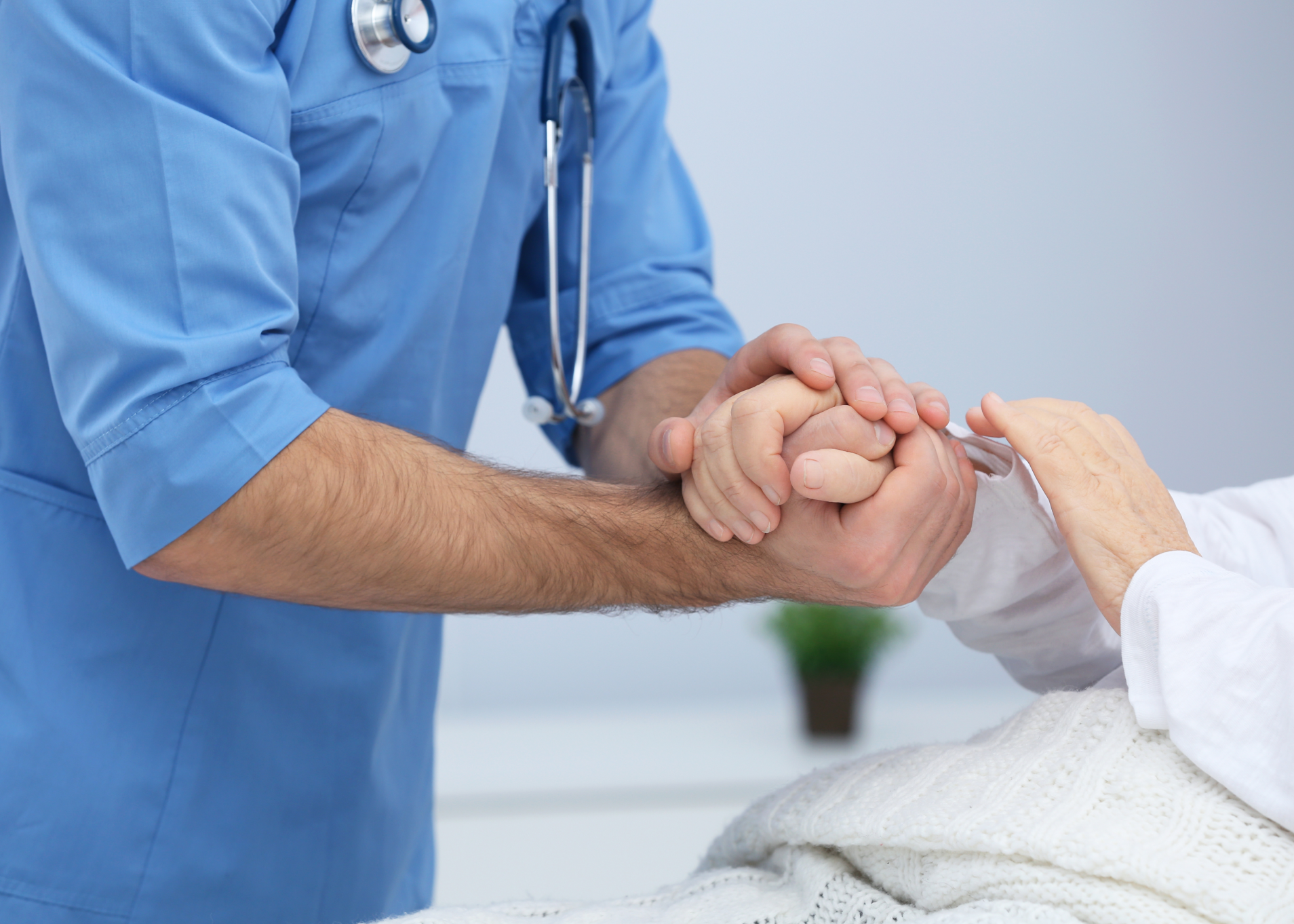 طبيب رعاية تلطيفية طبيب رعاية تلطيفية